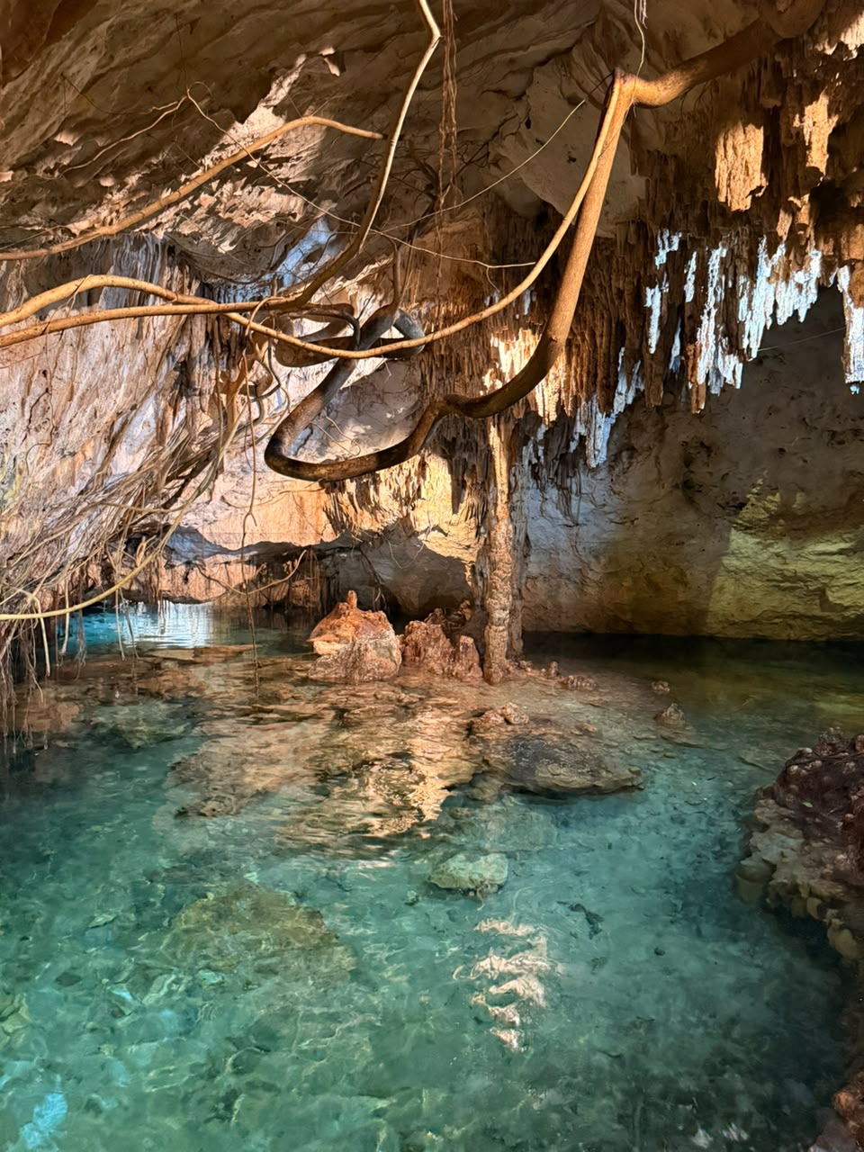 SECRETO DE LOS CENOTES